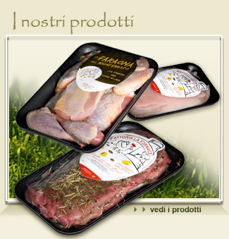Polli rurali, galli, gallinelle, faraone, capponi ALIMENTATI CON CEREALI NON OGM