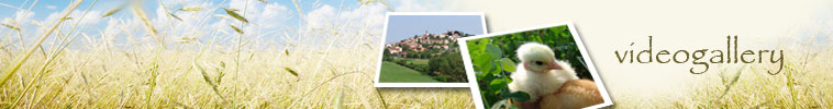 FATTORIA LA FORNACE - Polli rustici e sicuri