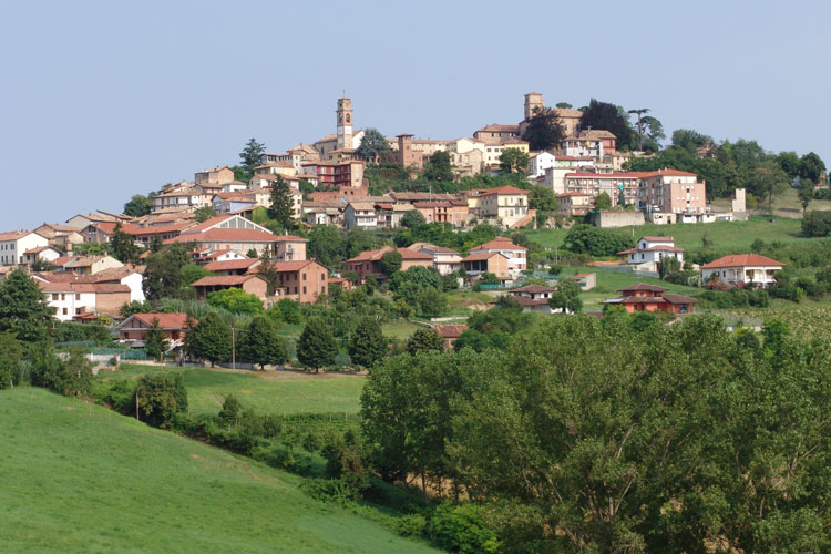 Fattoria La Fornace photo