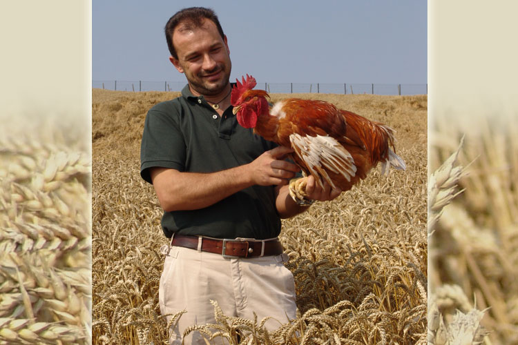 Fattoria La Fornace photo