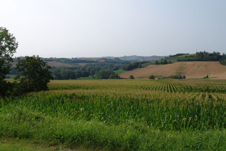 Fattoria La Fornace photo