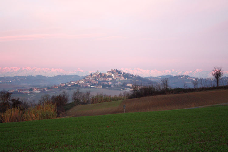Fattoria La Fornace photo