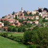 Fattoria La Fornace photo