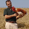 Fattoria La Fornace photo
