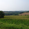 Fattoria La Fornace photo